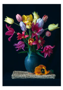 Tulips in a Pottery Vase