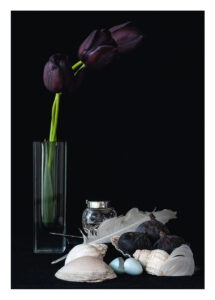 Still Life with Black Tulips