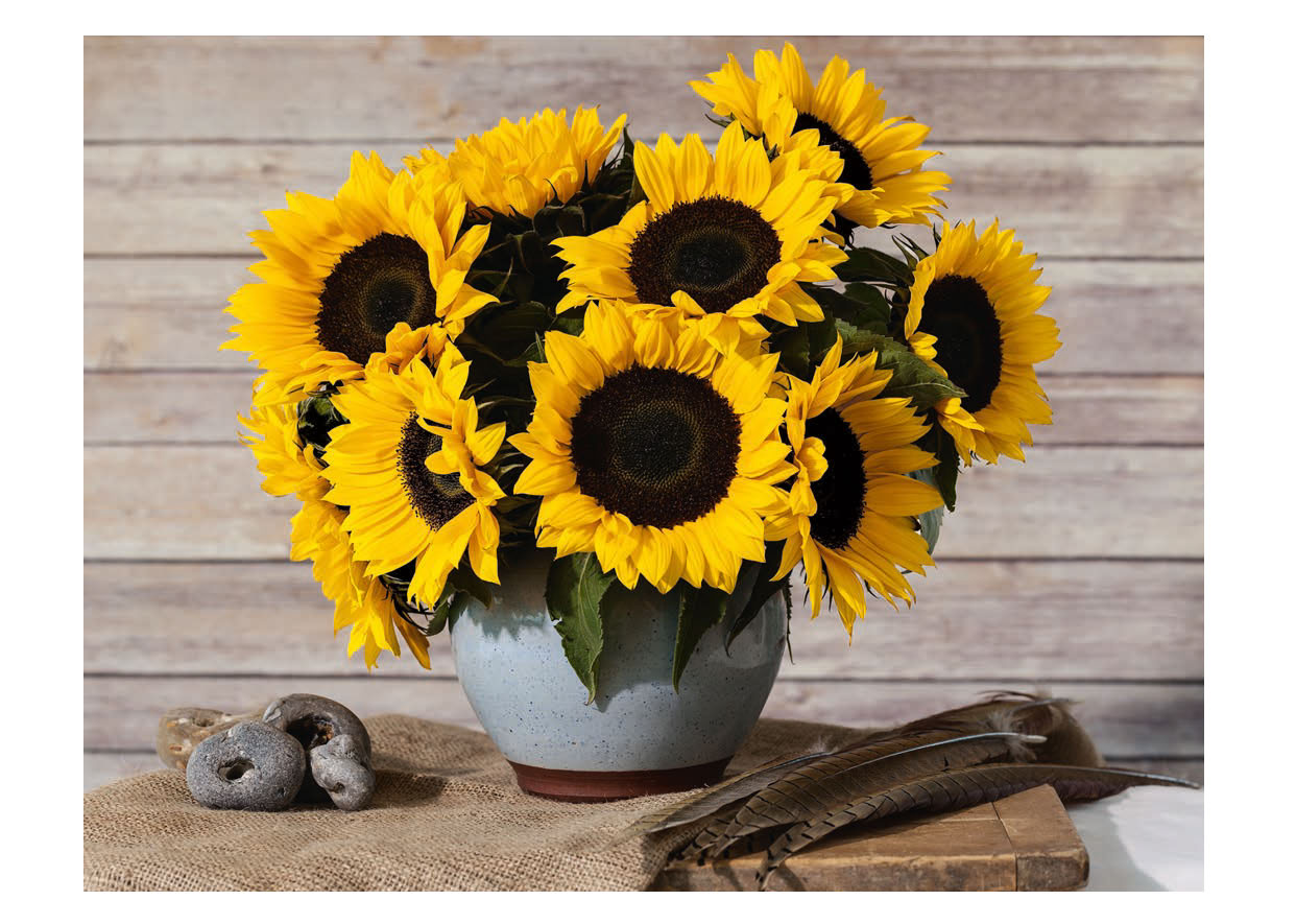 Still Life with Sunflowers