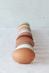 Eggsistential photograph
