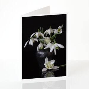 Snowdrops in a Black Vase