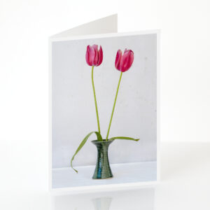 Two Pink Tulips