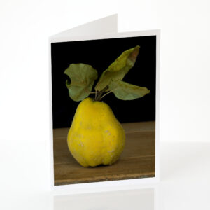 Single quince greeting card